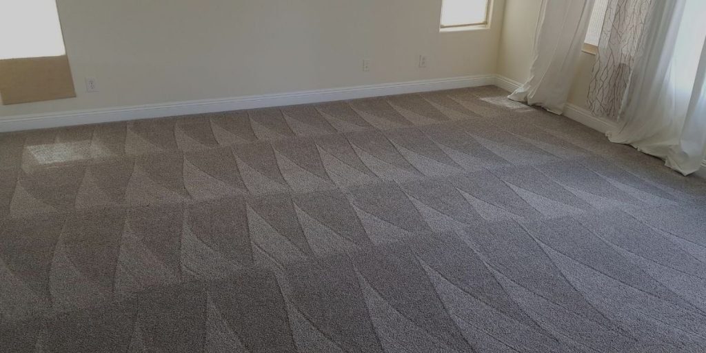 How Often Should Carpets Be Vacuumed?