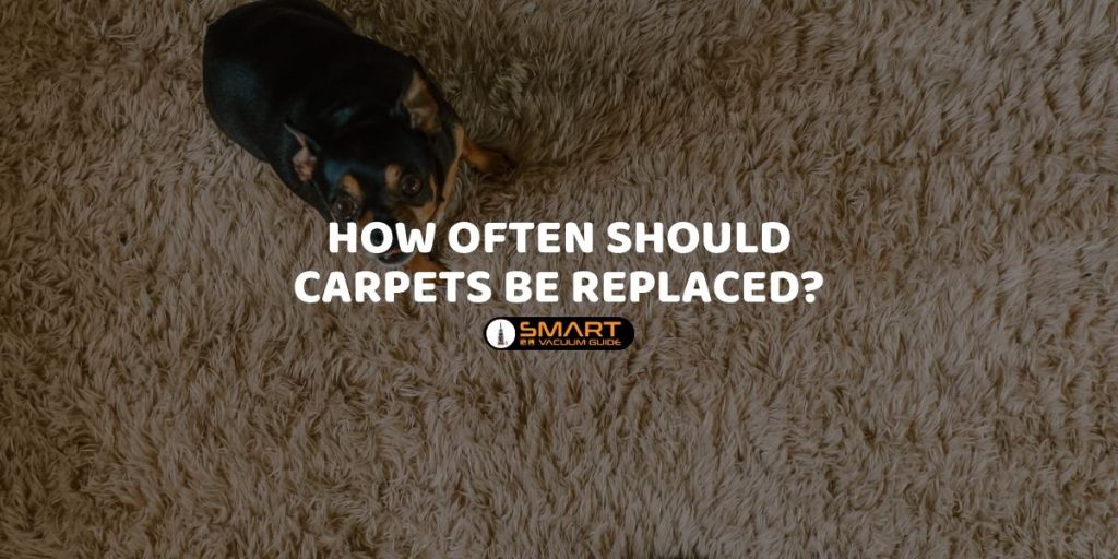How Often Should Carpets be Replaced?