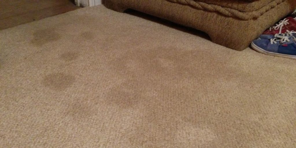 How Often Should Carpets be Replaced?
