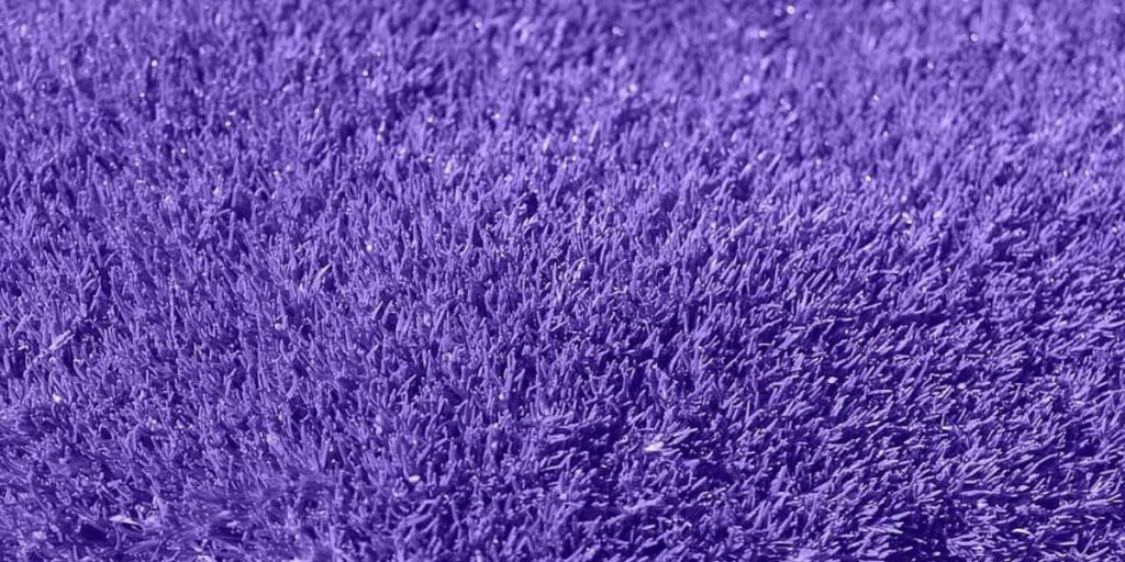 How to dry wet carpets without a vacuum?